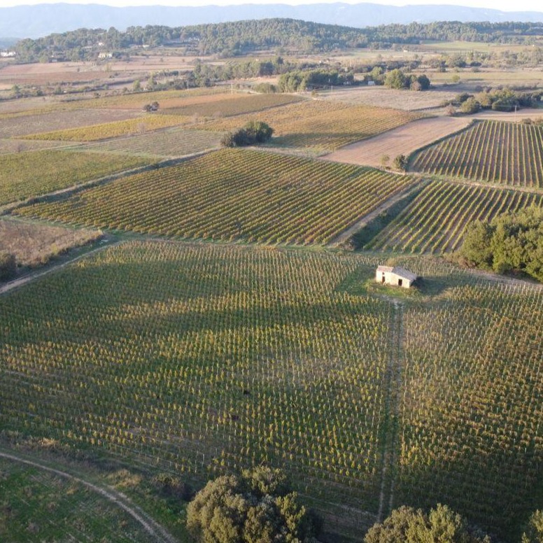Vue aérienne des parcelles du domaine